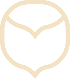 icon-CS-hazelnut